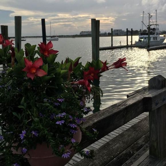 Meet your Posher, Marick - Picture 1 of 1